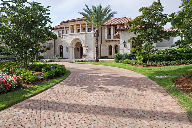 Best Affordable Driveway Pavers  in Buena Vista, CO