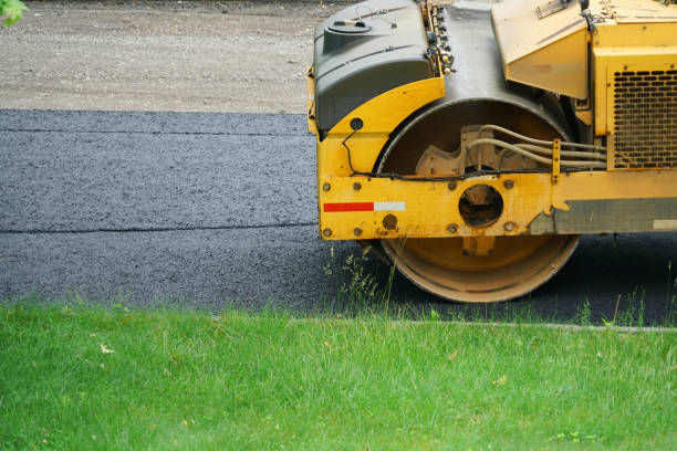 Best Permeable Paver Driveway  in Buena Vista, CO