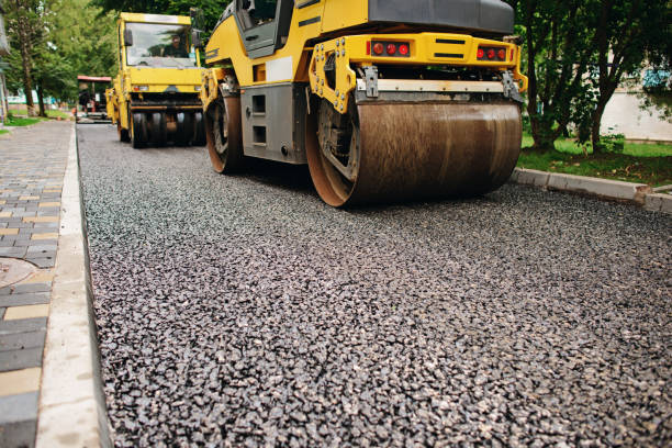 Best Driveway Pavers Cost  in Buena Vista, CO